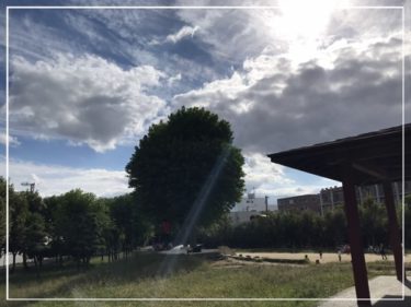 堺市の白鷺公園は駐車場が無料で子供と遊ぶのにも最適！電車も通って大喜び★桜や蓮が綺麗